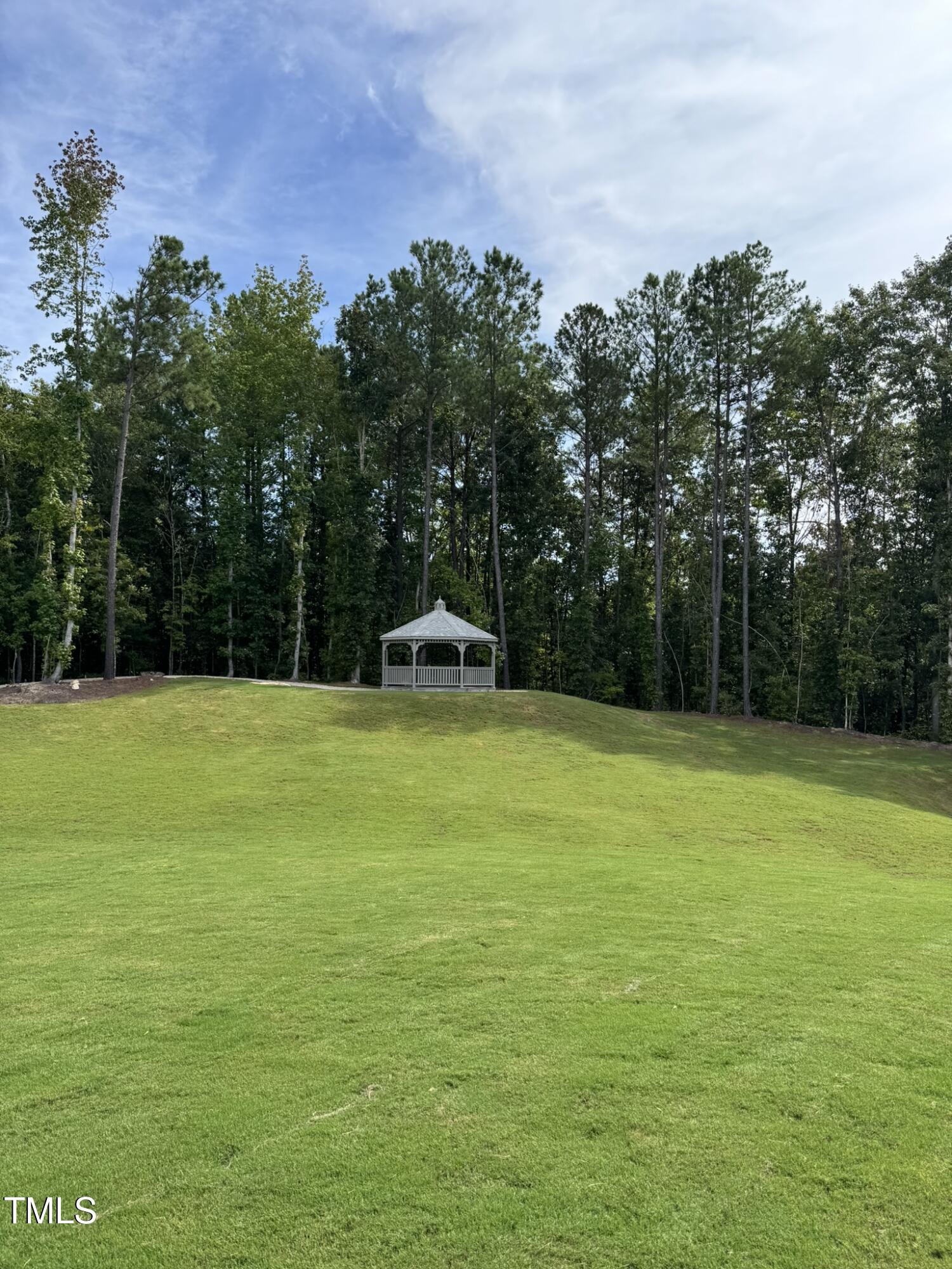 792 Riguard Way Wendell, NC 27591 - Photo 42 of 46 a view of a swimming pool with a yard