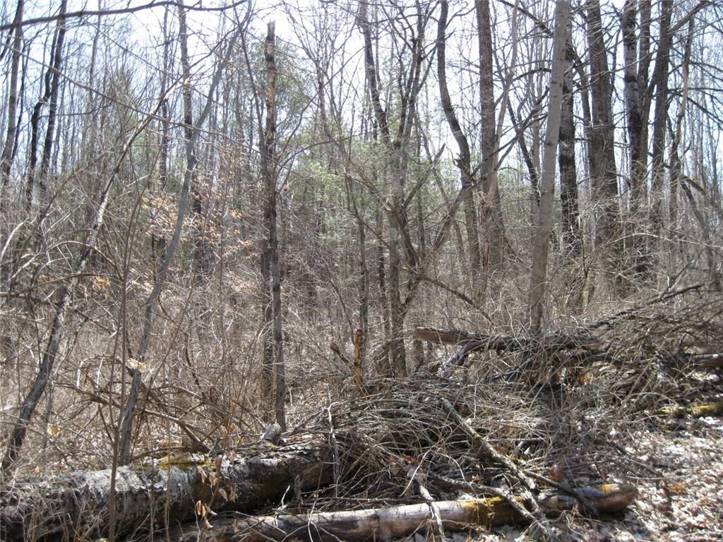 Lot 4 Cemetery Road Newport, ME 04953 - Photo 3 of 6 Photo