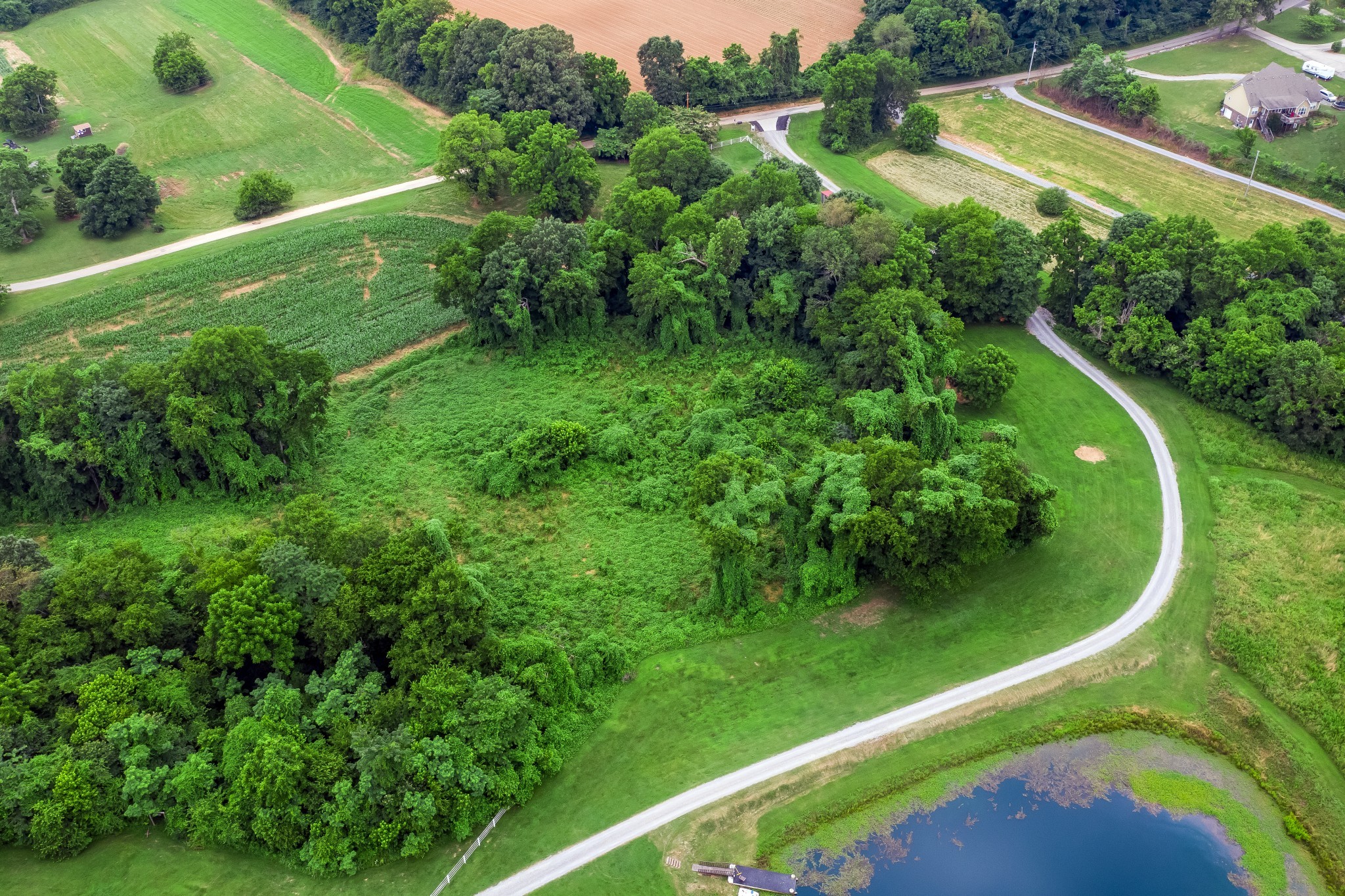 2468 Dunbar Road Woodlawn, TN 37191 - Photo 46 of 50 Gallery Image 46