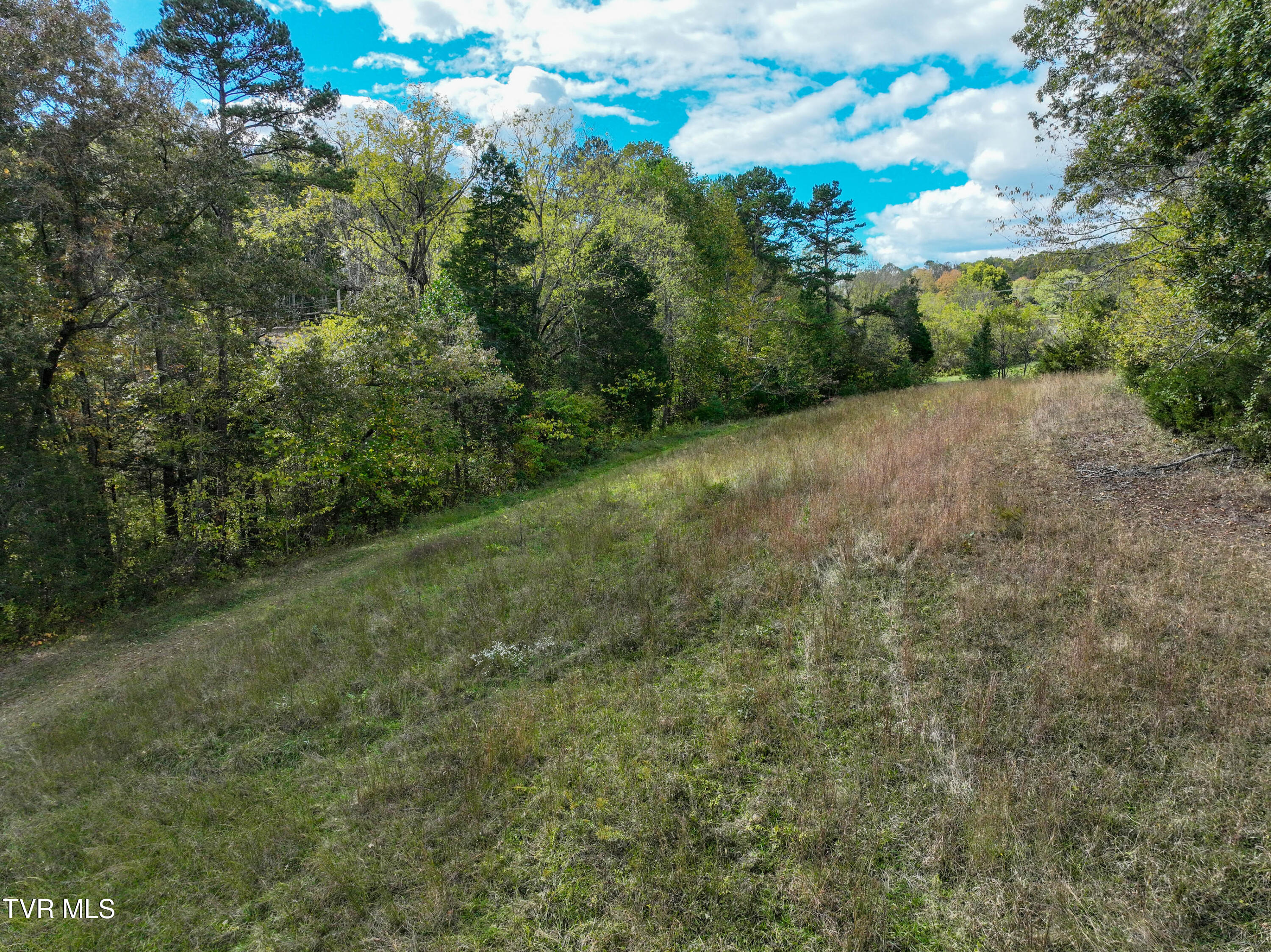 1476 Silver Grove Road Bluff City, TN 37618 - Photo 7 of 24 1476 Silver Grove Rd Drone BANKS-20