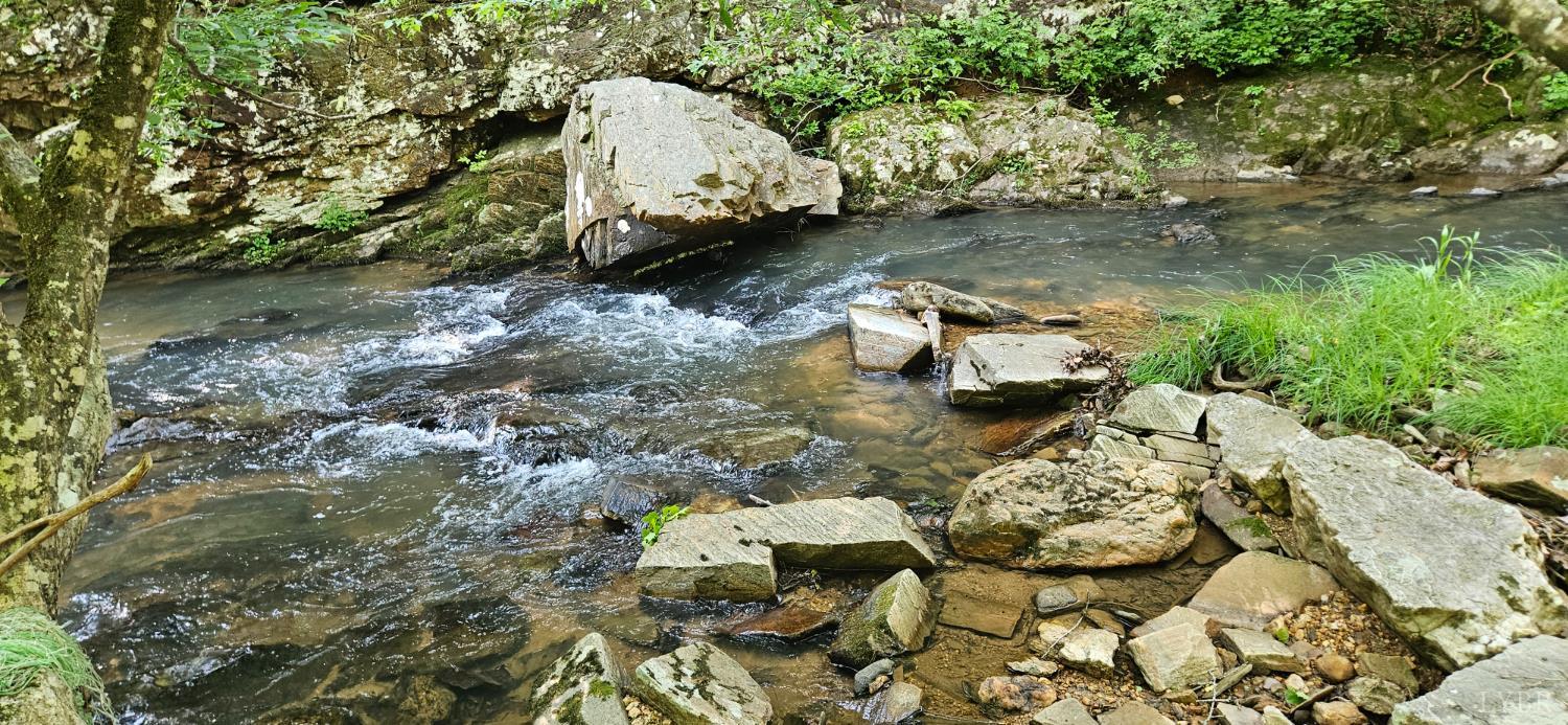 0 Earley Farm Road Madison Heights, VA 24572 - Photo 2 of 8 a view of a back yard of the house