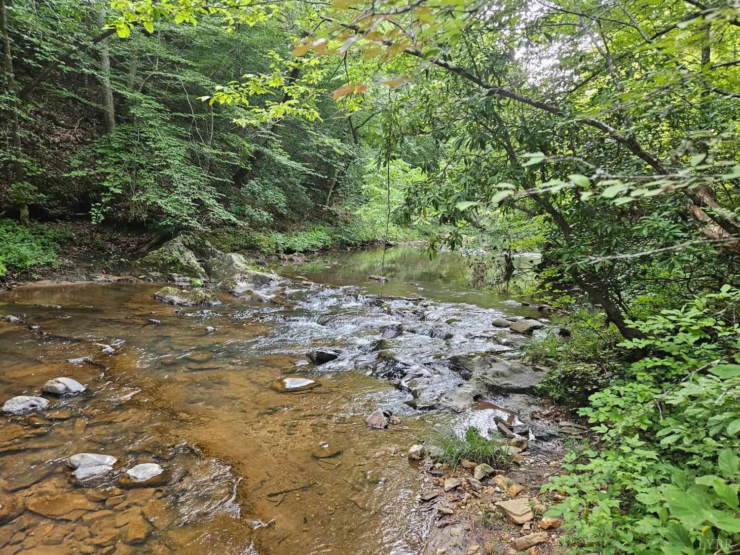0 Earley Farm Road Madison Heights, VA 24572 - Photo 5 of 8 a view of a yard with plants and trees