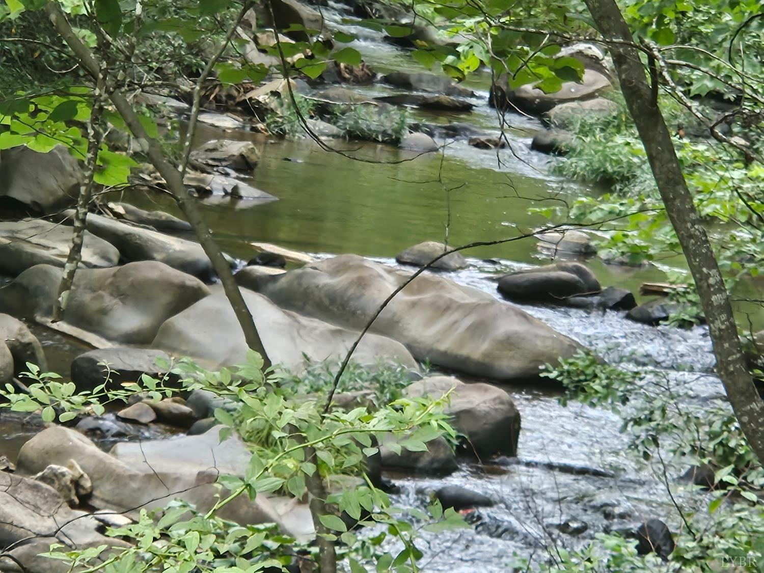 0 Earley Farm Road Madison Heights, VA 24572 - Photo 6 of 8 a view of a lake with a park