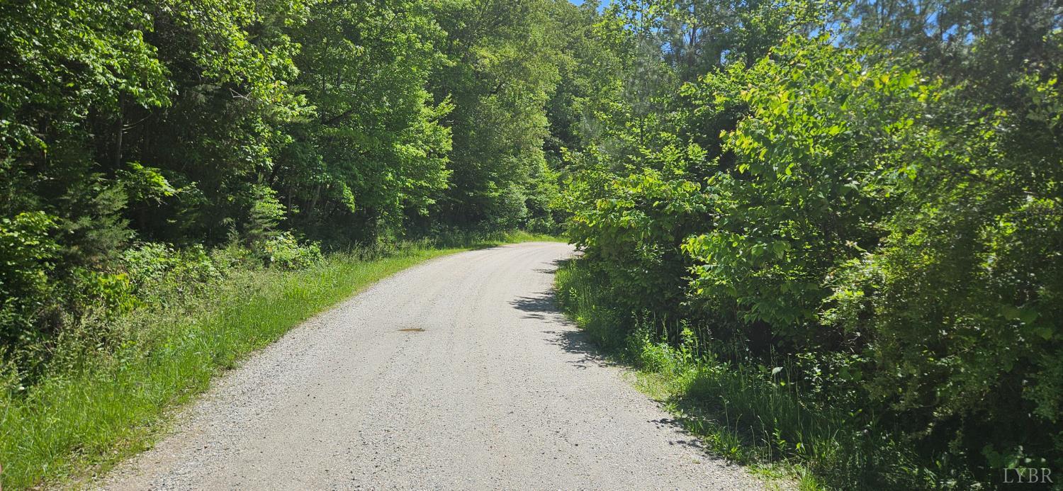 0 Earley Farm Road Madison Heights, VA 24572 - Photo 8 of 8 a view of a yard with plants