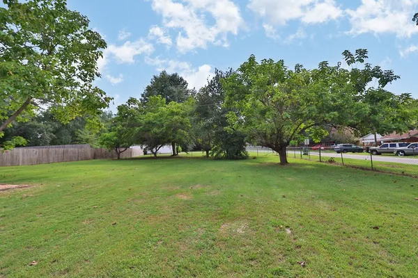 a view of a trees in a yard