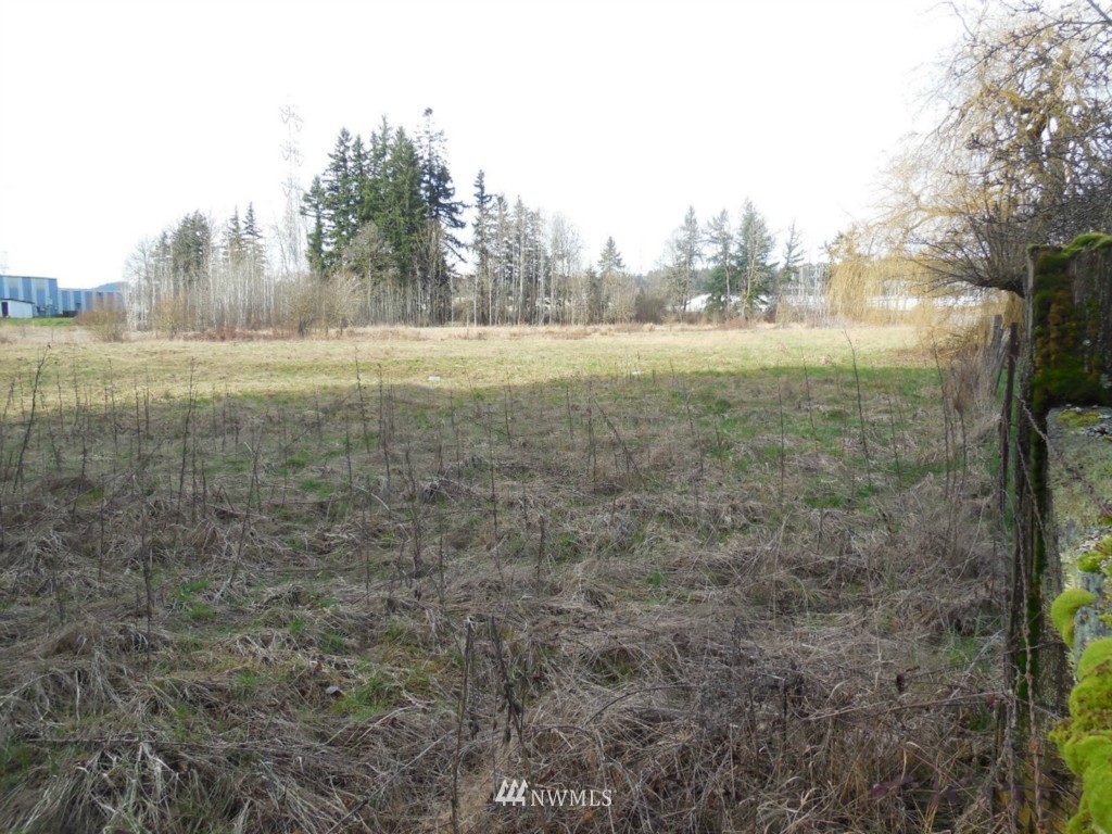 1781 Bishop Road Chehalis, WA 98532 - Photo 4 of 8 a view of a field with trees in the background