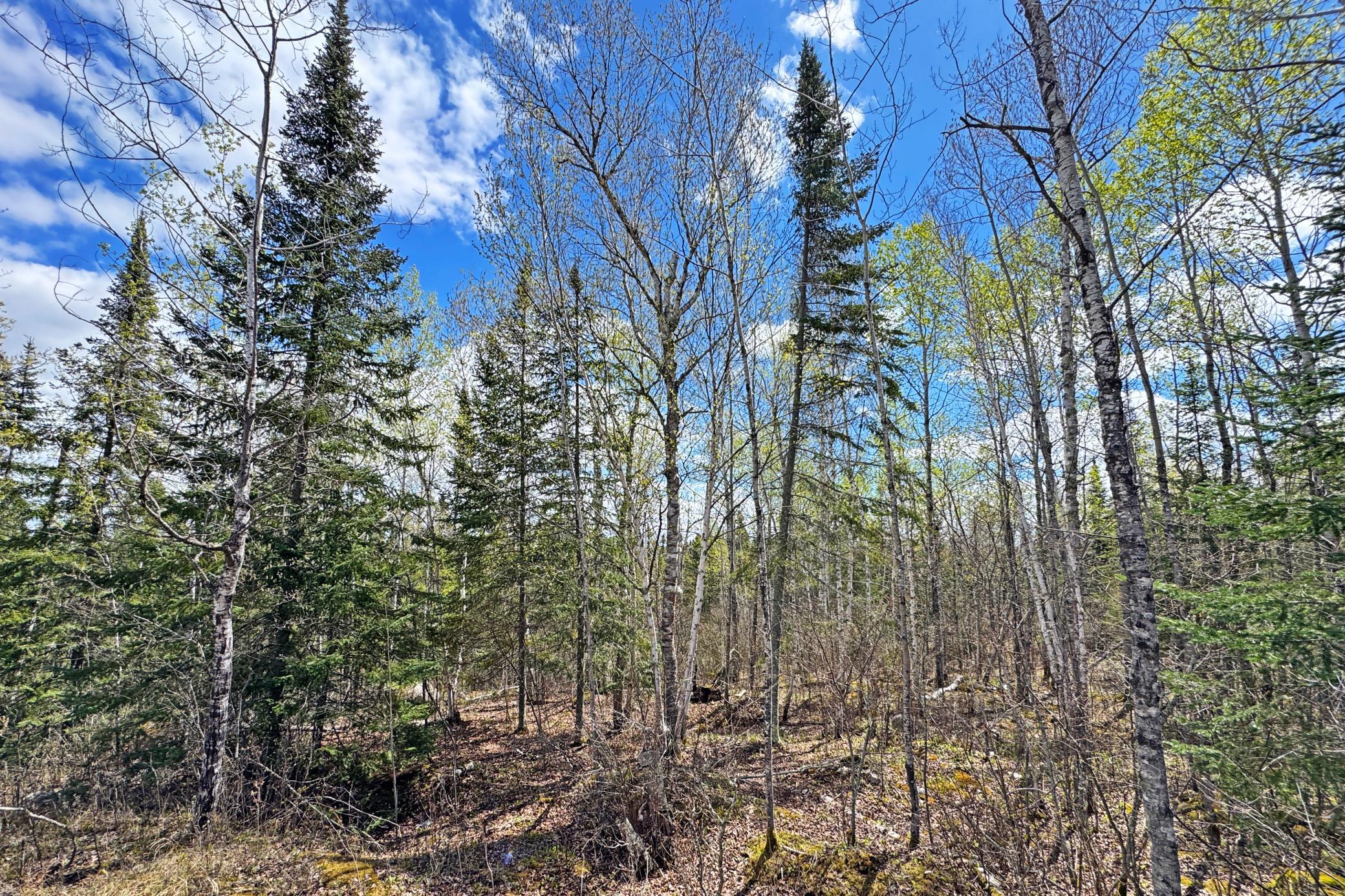 12 Fectos Road Tower, MN 55790 - Photo 45 of 50
