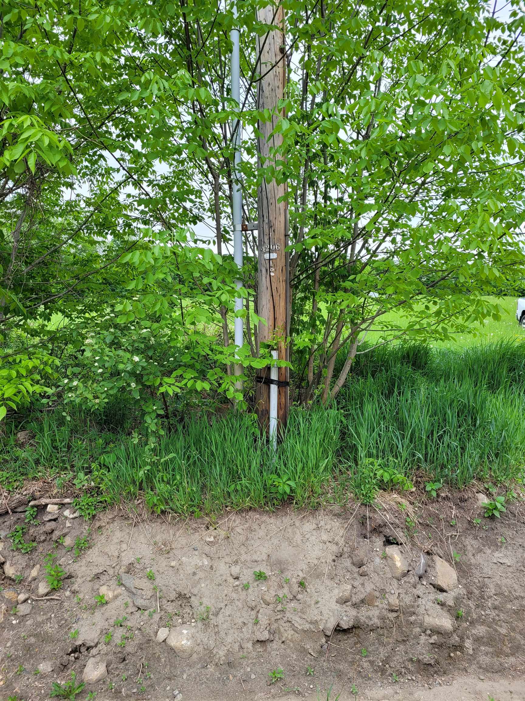 161 Morey Road Sutton, VT 05867 - Photo 8 of 19 Gallery Image 8