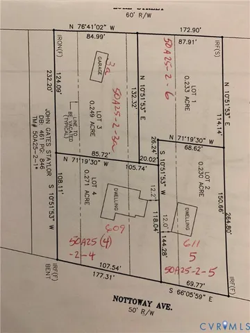 a road view with large trees