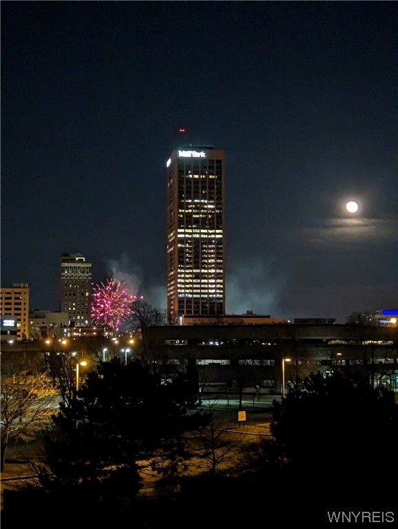 112 Rivermist Drive Buffalo, NY 14202 - Photo 44 of 45