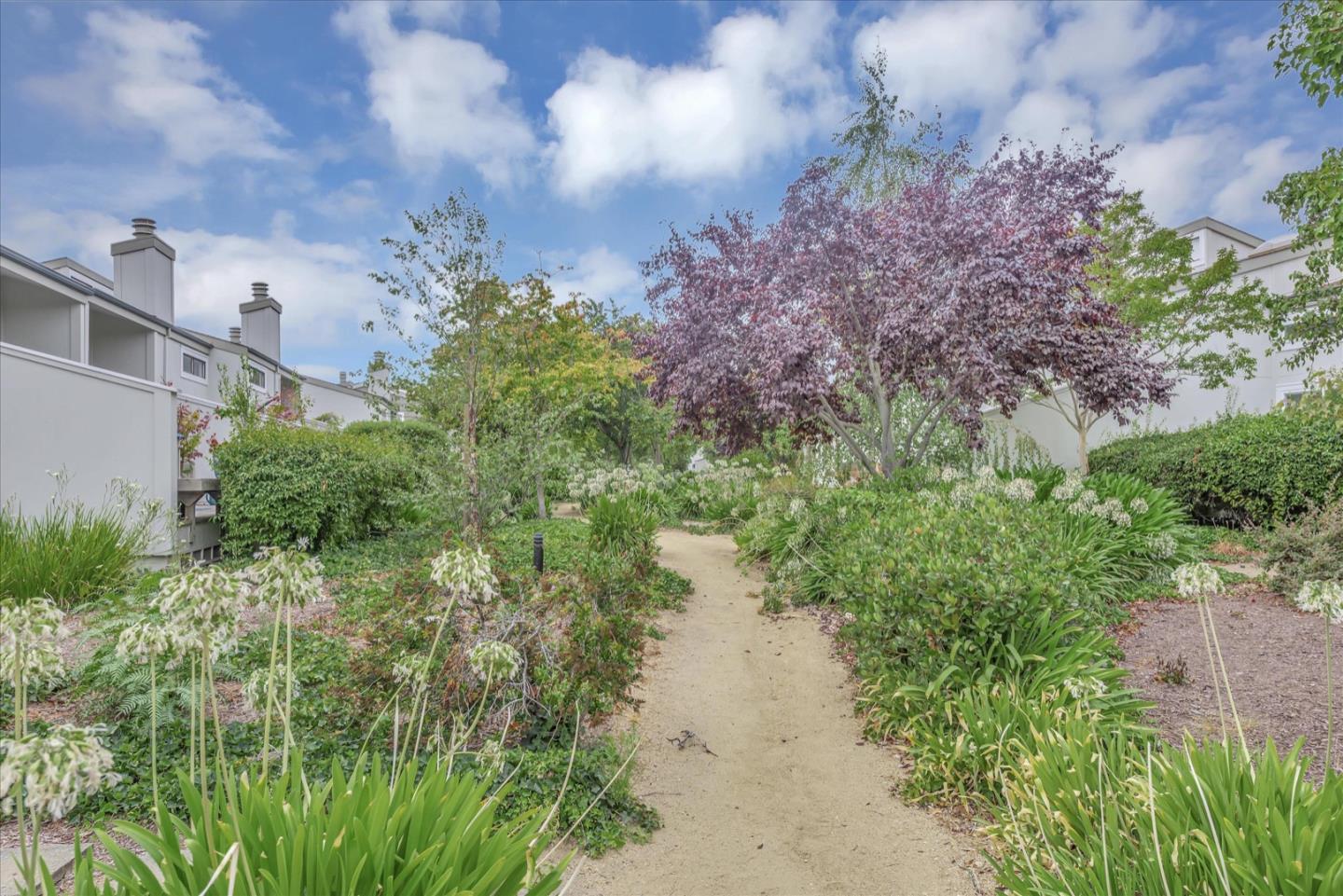 3415 La Selva Street San Mateo, CA 94403 - Photo 31 of 33 a view of a lake with a building in the background