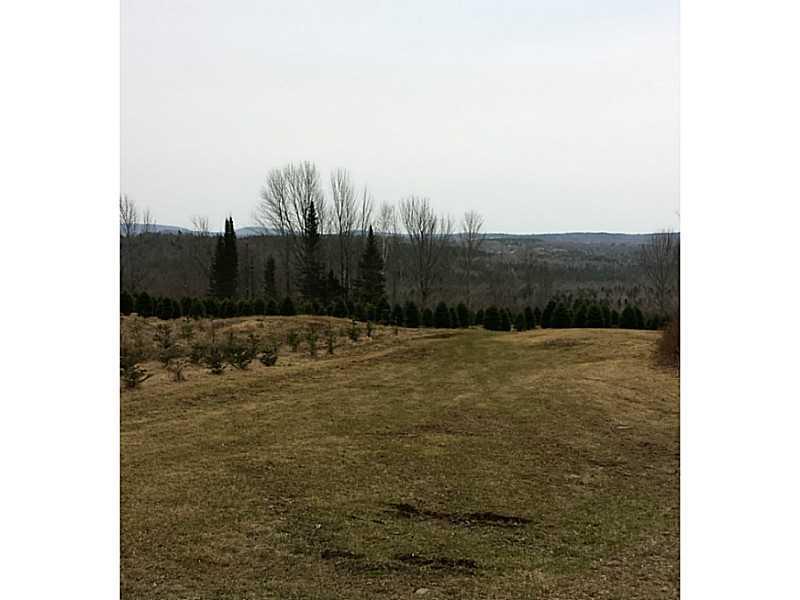 Lot 2 Rutland Road Plymouth, ME 04969 - Photo 13 of 35 Land.