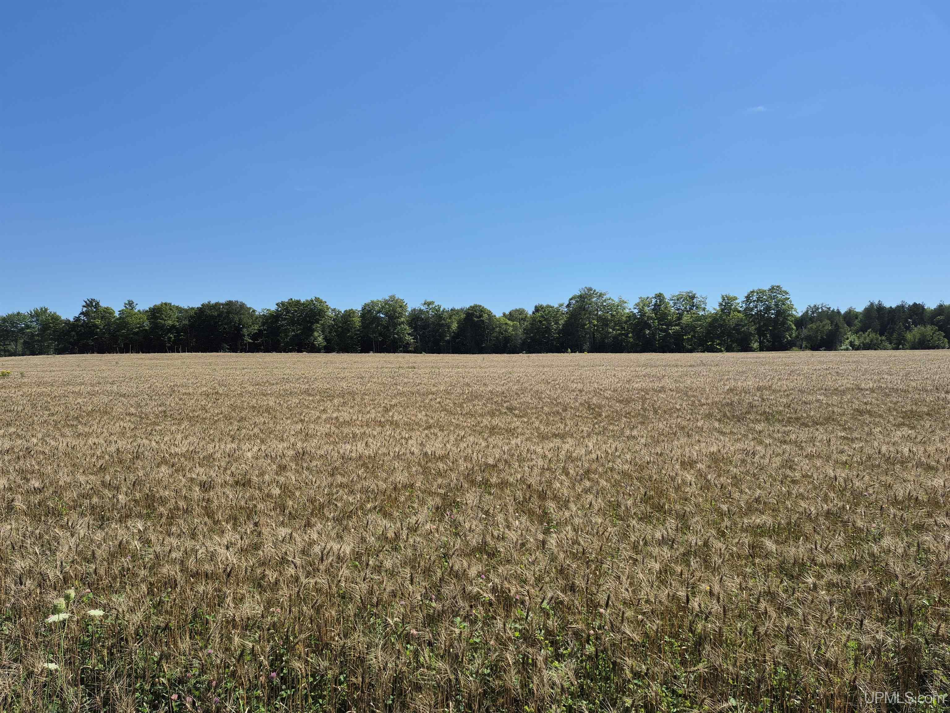 160-acres Halverson Road Gulliver, MI 49840 - Photo 27 of 35