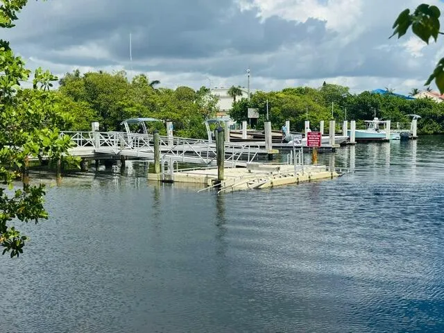 a view of water with boats and trees in the background