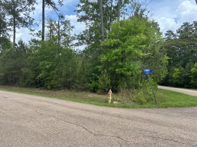 $550,000 | 0 North 12th Street, Covington, LA 70433