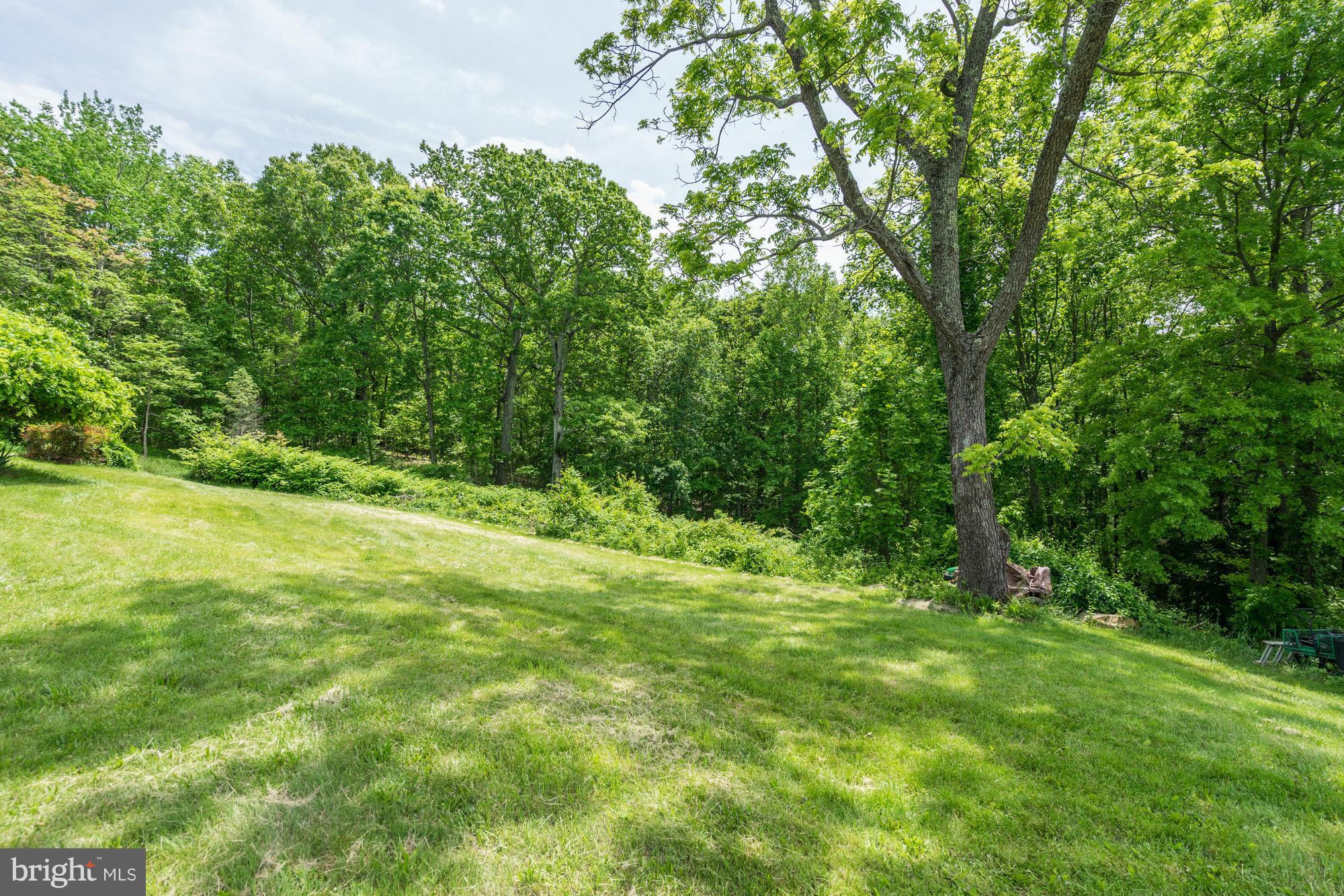 3248 Fortune Mountain Road Marshall, VA 20115 - Photo 21 of 21 Exterior (General)