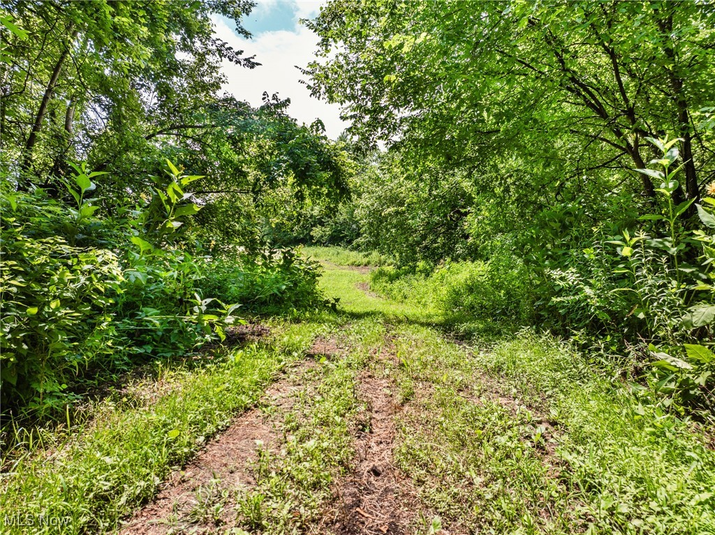 Plainfield Road Kimbolton, OH 43749 - Photo 13 of 48 Gallery Image 13