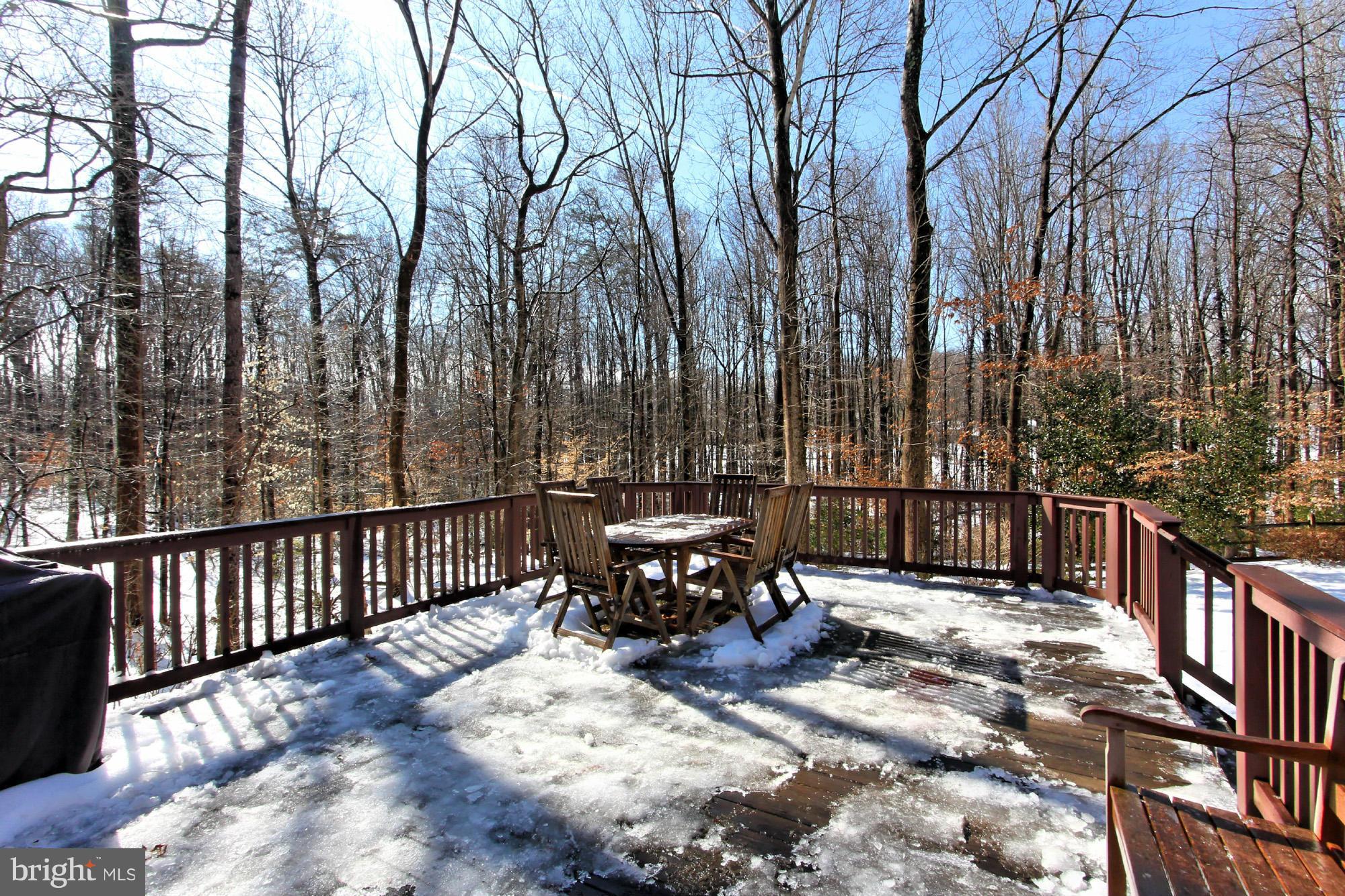 10415 Adel Road Oakton, VA 22124 - Photo 25 of 30 Sweeping Views from Deck