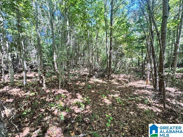 576 East R White Road, Unit 40 AC Lineville, AL 36266 - Photo 3 of 10