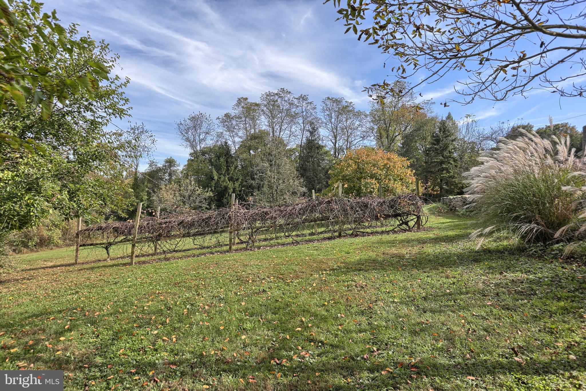 1087 Syner Road Annville, PA 17003 - Photo 58 of 77 Gallery Image 58