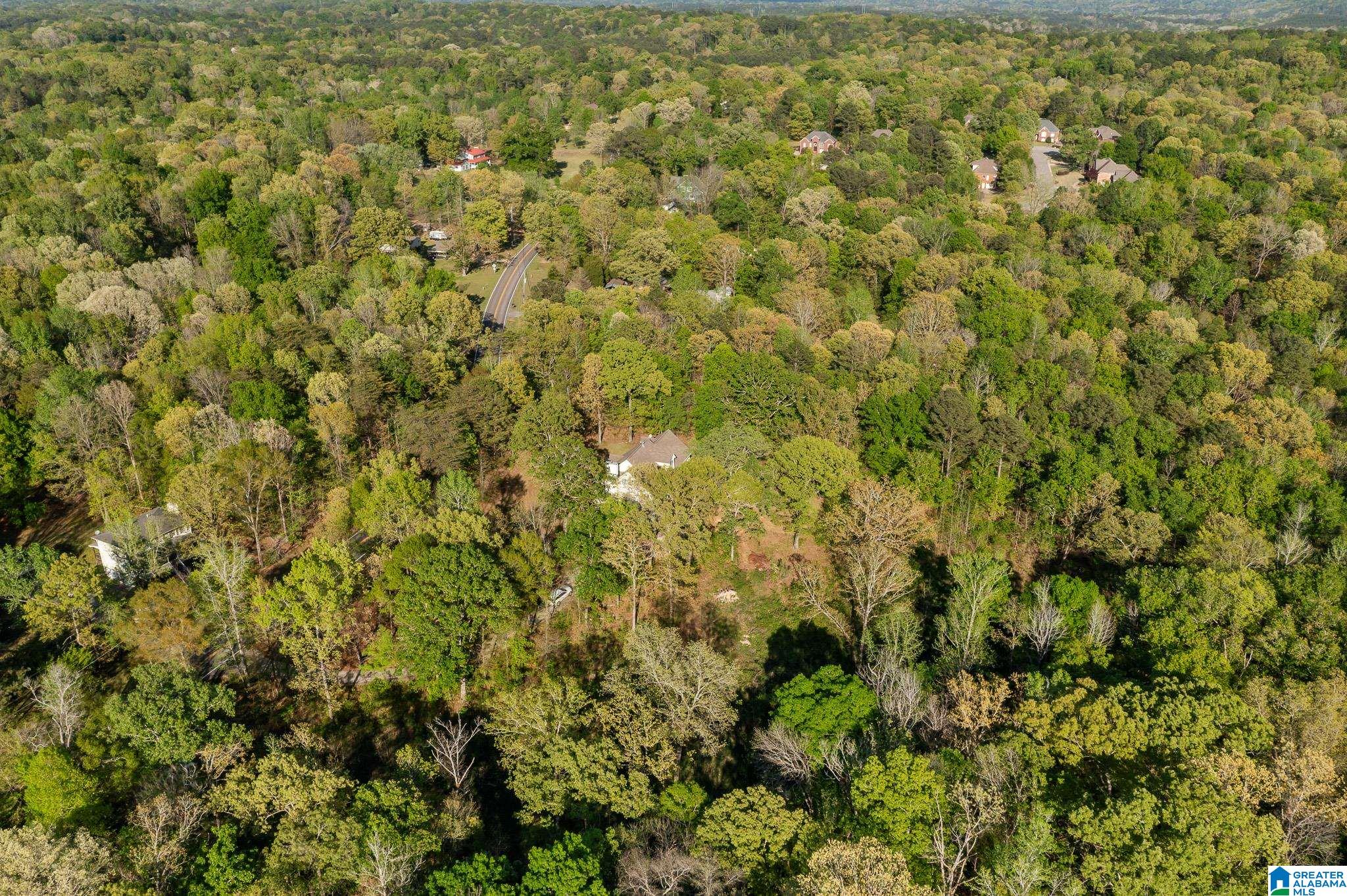 6050 Coleman Lake Road McCalla, AL 35111 - Photo 47 of 54