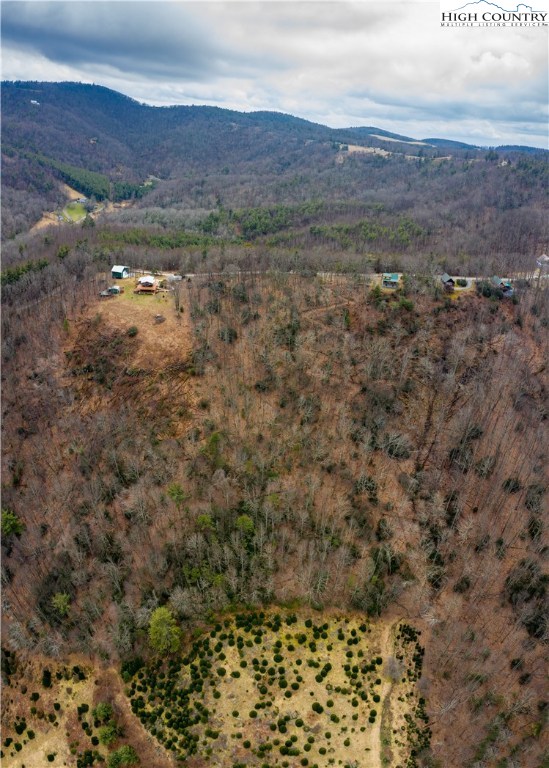 0 Brown Road Sparta, NC 28675 - Photo 10 of 16 Gallery Image 10