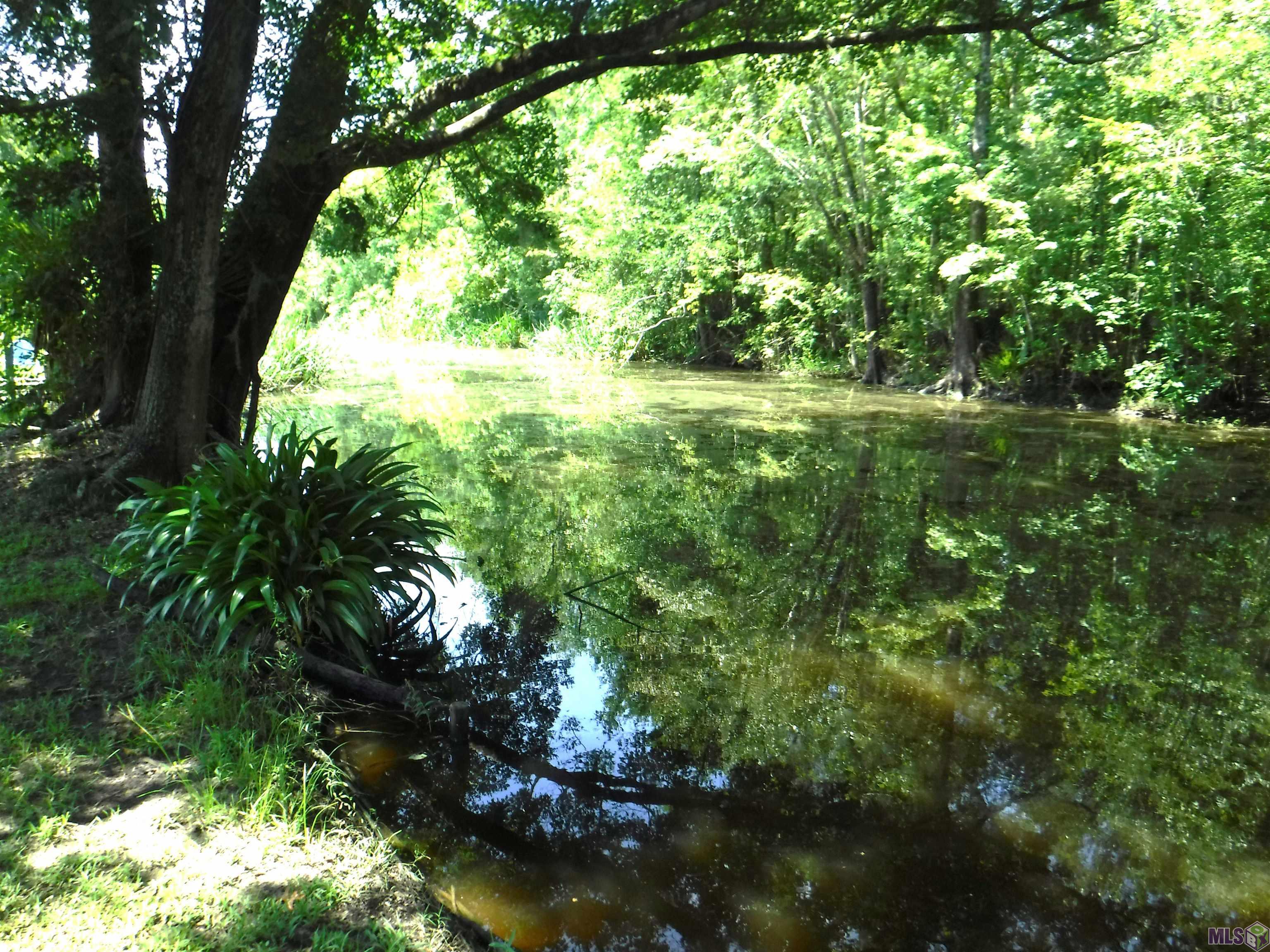 8369 Phillips Road St. Amant, LA 70774 - Photo 16 of 18 Bayou Francois