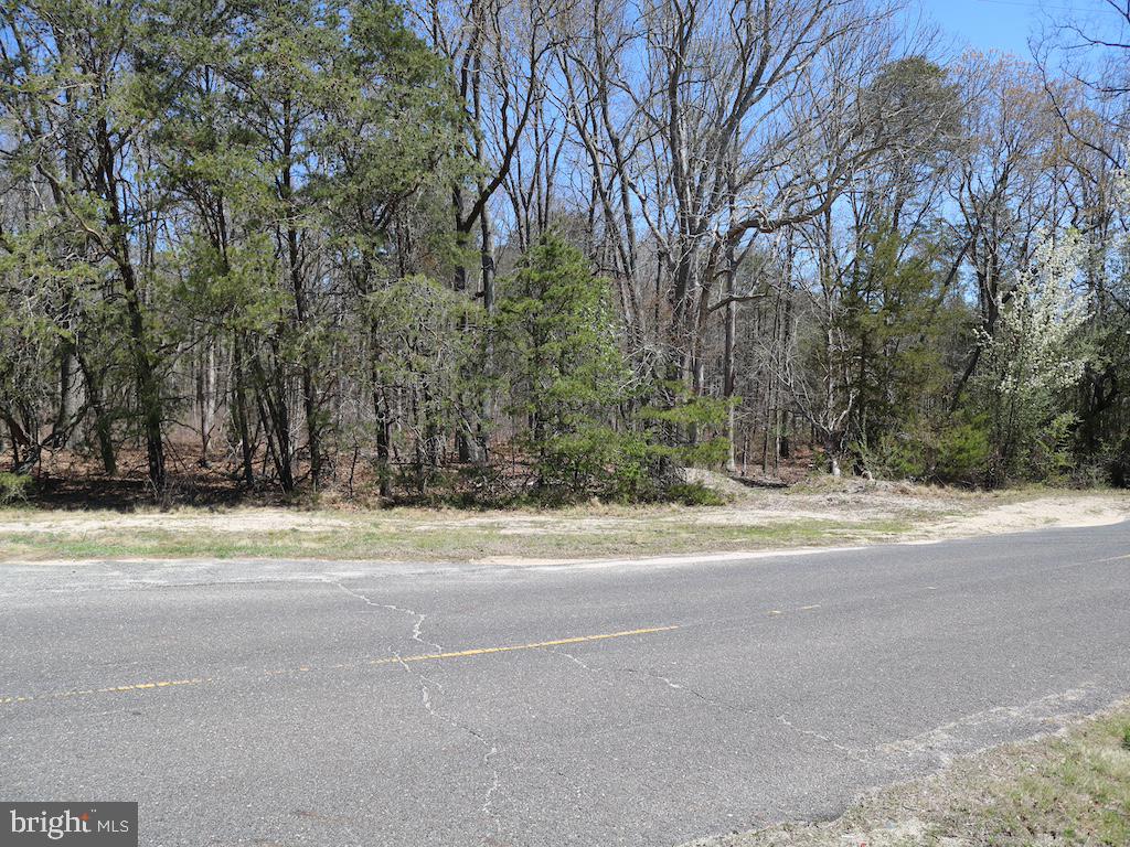 351 Shaws Mill Road Cedarville, NJ 08311 - Photo 42 of 84