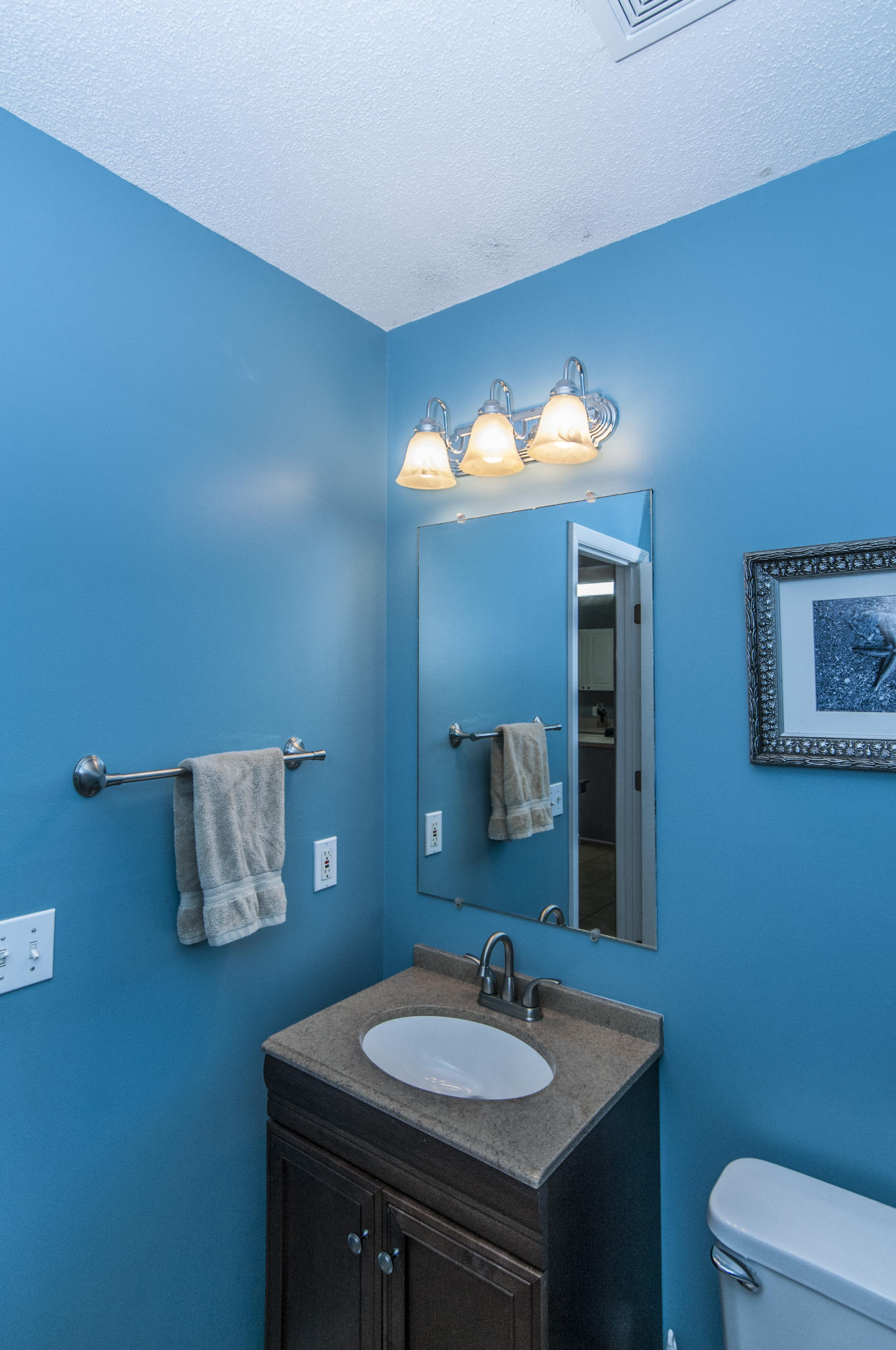 223 Eagle Ridge Road Summerville, SC 29485 - Photo 13 of 27 _DSC7515