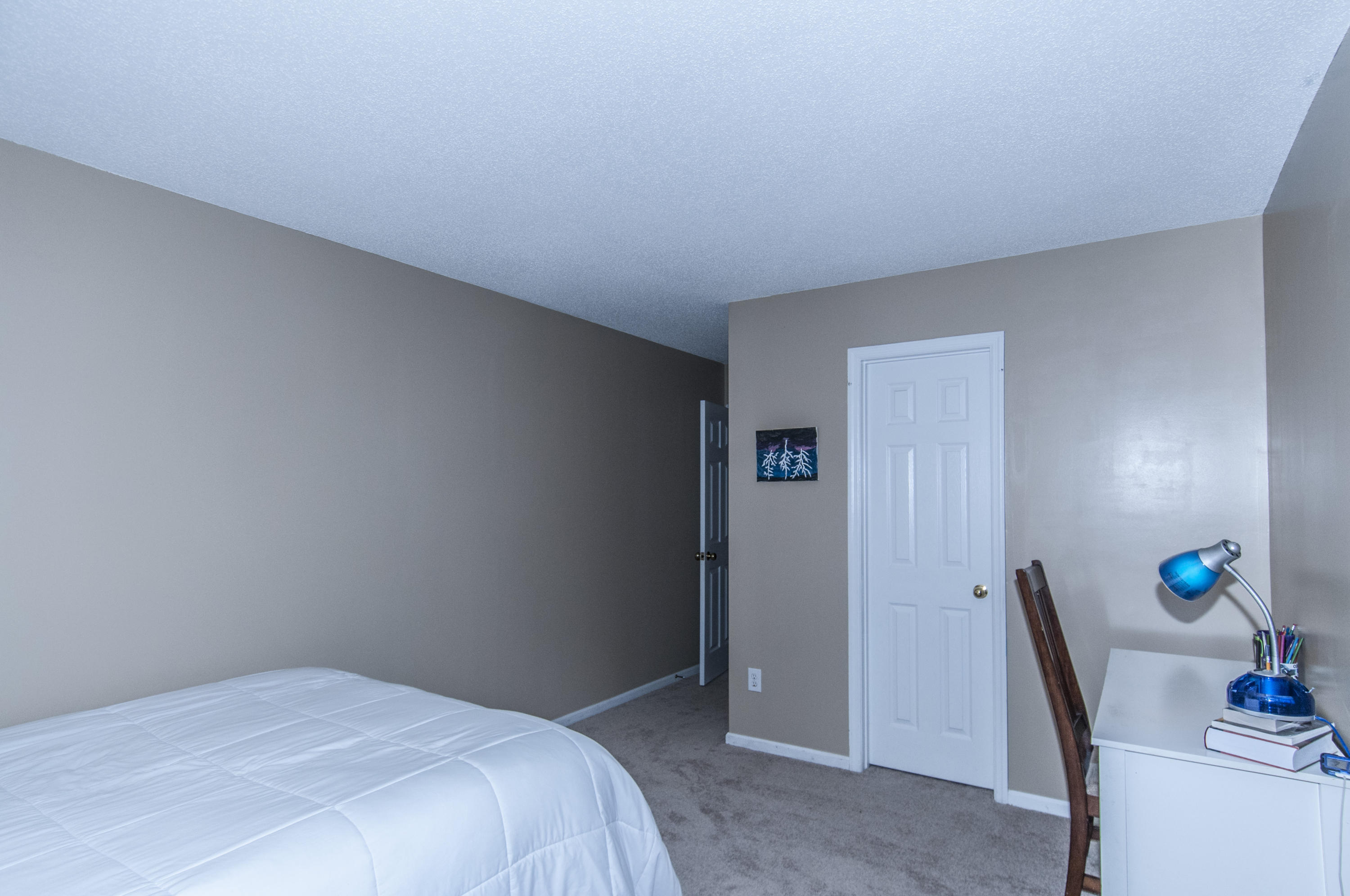 223 Eagle Ridge Road Summerville, SC 29485 - Photo 21 of 27 _DSC7529