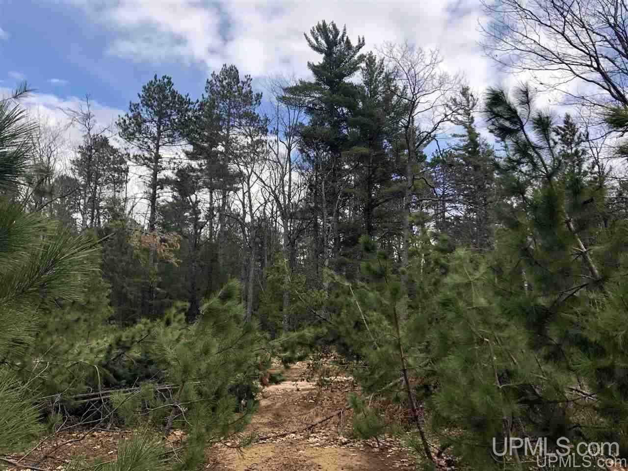 Tbd Valley Road Marquette, MI 49855 - Photo 42 of 59