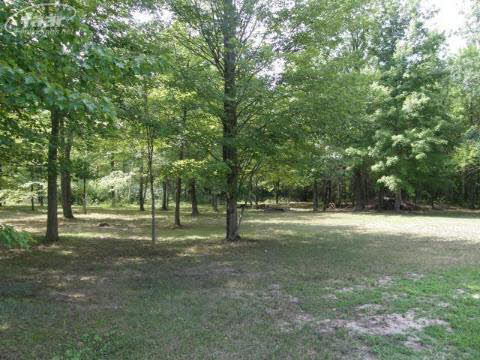 10506 Carr Road St. Charles, MI 48655 - Photo 13 of 14 20229865-12.JPG