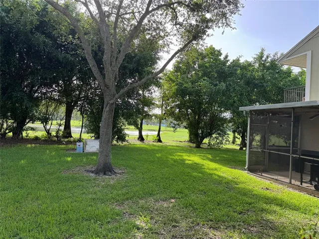 a view of a backyard with large trees