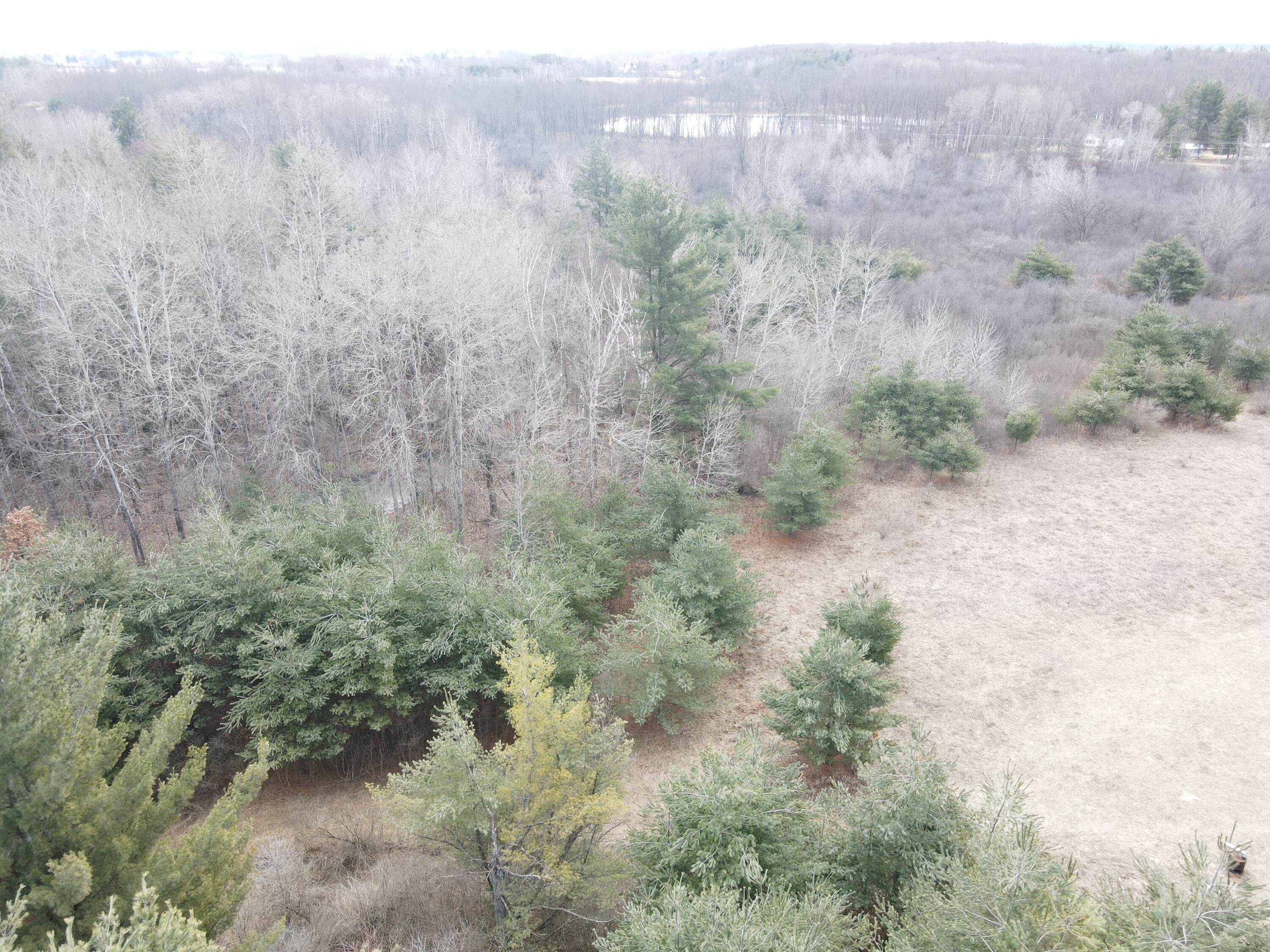 4 4 Mile Road Sears, MI 49679 - Photo 25 of 30 dji_fly_20260327_121546_366_177462815506
