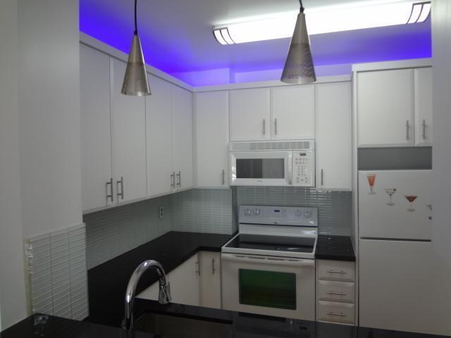 55 Southwest 2nd Avenue, Unit 5110 Boca Raton, FL 33432 - Photo 9 of 16 Kitchen