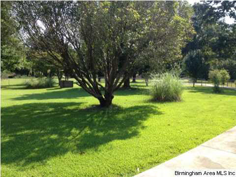 7914 Bethel Road Dora, AL 35062 - Photo 20 of 25