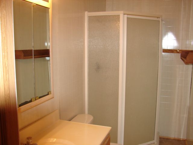 309 Jefferson Street Ridott, IL 61067 - Photo 4 of 12 a bathroom with a shower