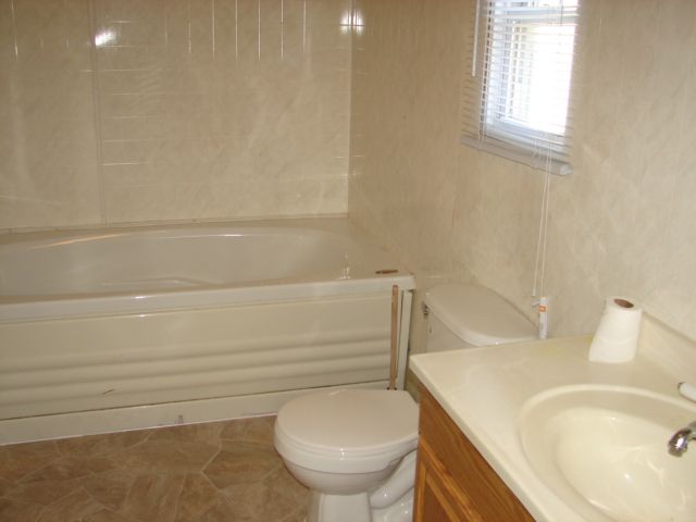 309 Jefferson Street Ridott, IL 61067 - Photo 5 of 12 a bathroom with a sink a toilet and a bathtub