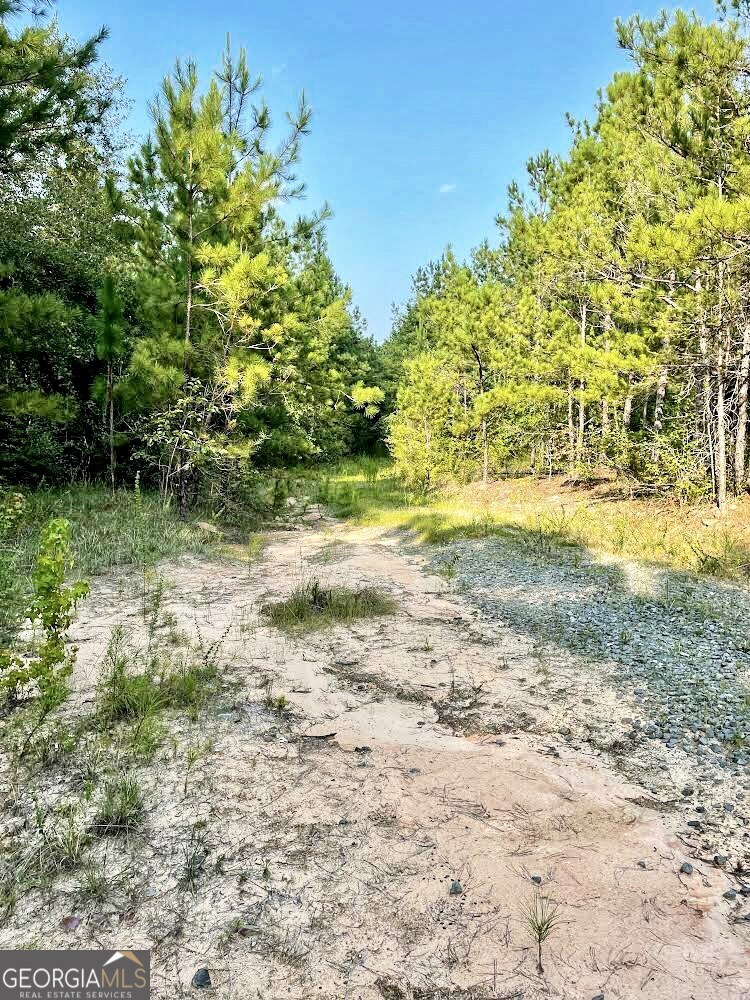 4476 Fulton Mill Road Macon, GA 31216 - Photo 3 of 10