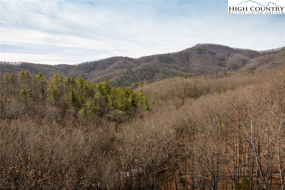 1255 Reynolds Parkway Boone, NC 28607 - Photo 1 of 48 a view of a mountain in the distance in a field