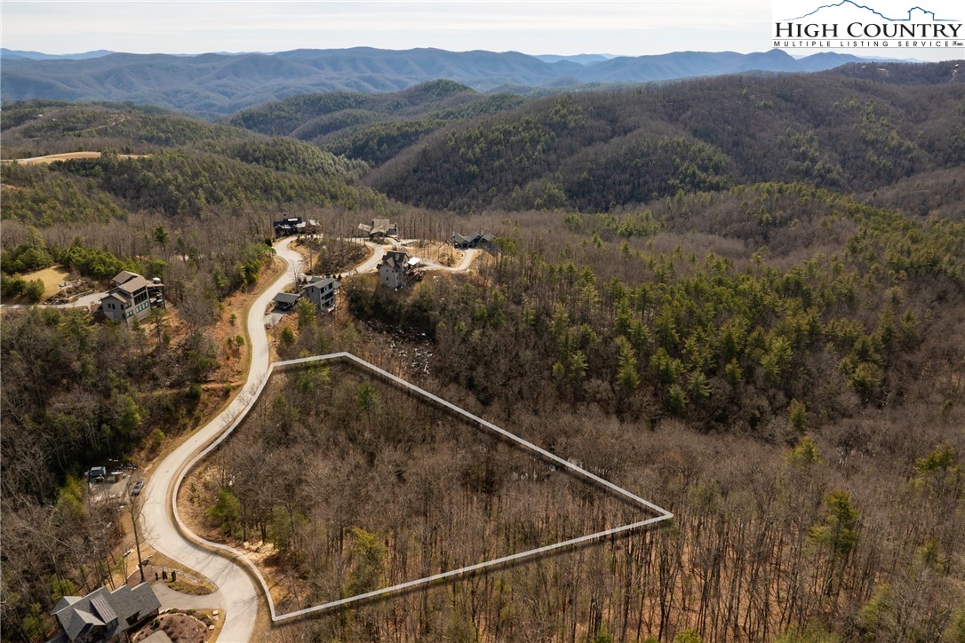 1255 Reynolds Parkway Boone, NC 28607 - Photo 11 of 48 a view of a forest