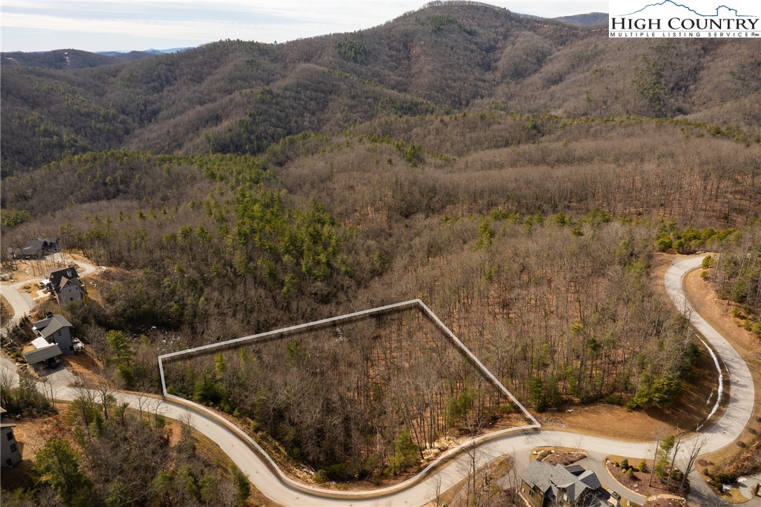 1255 Reynolds Parkway Boone, NC 28607 - Photo 13 of 48 a view of a forest