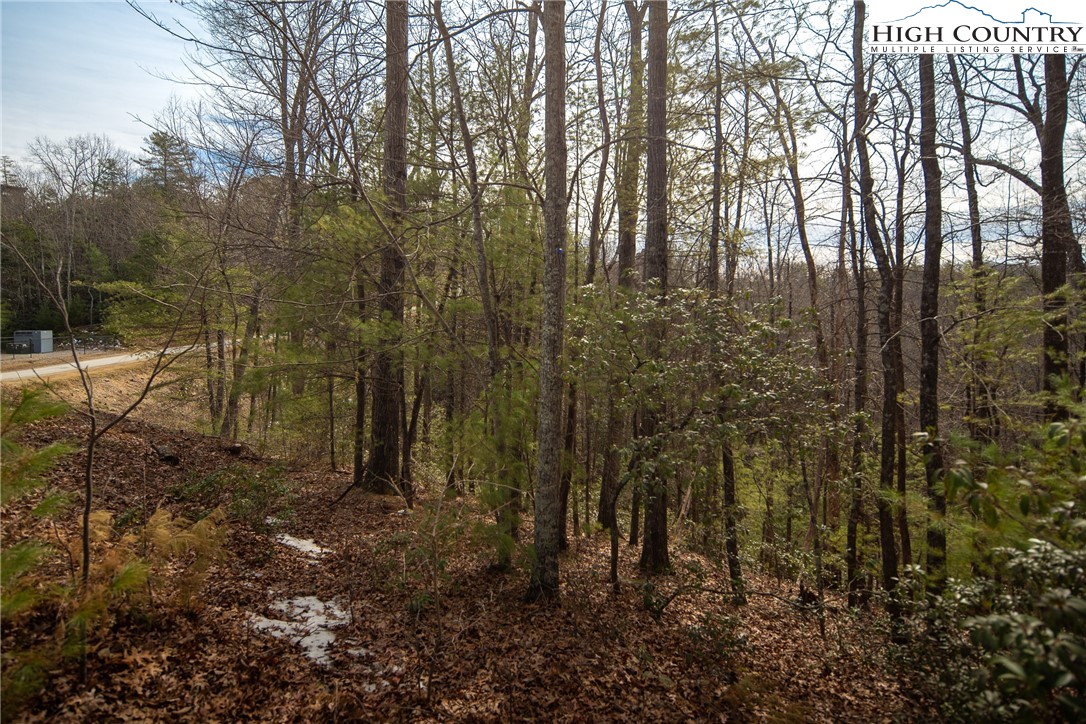 1255 Reynolds Parkway Boone, NC 28607 - Photo 6 of 48 a view of residential house with trees