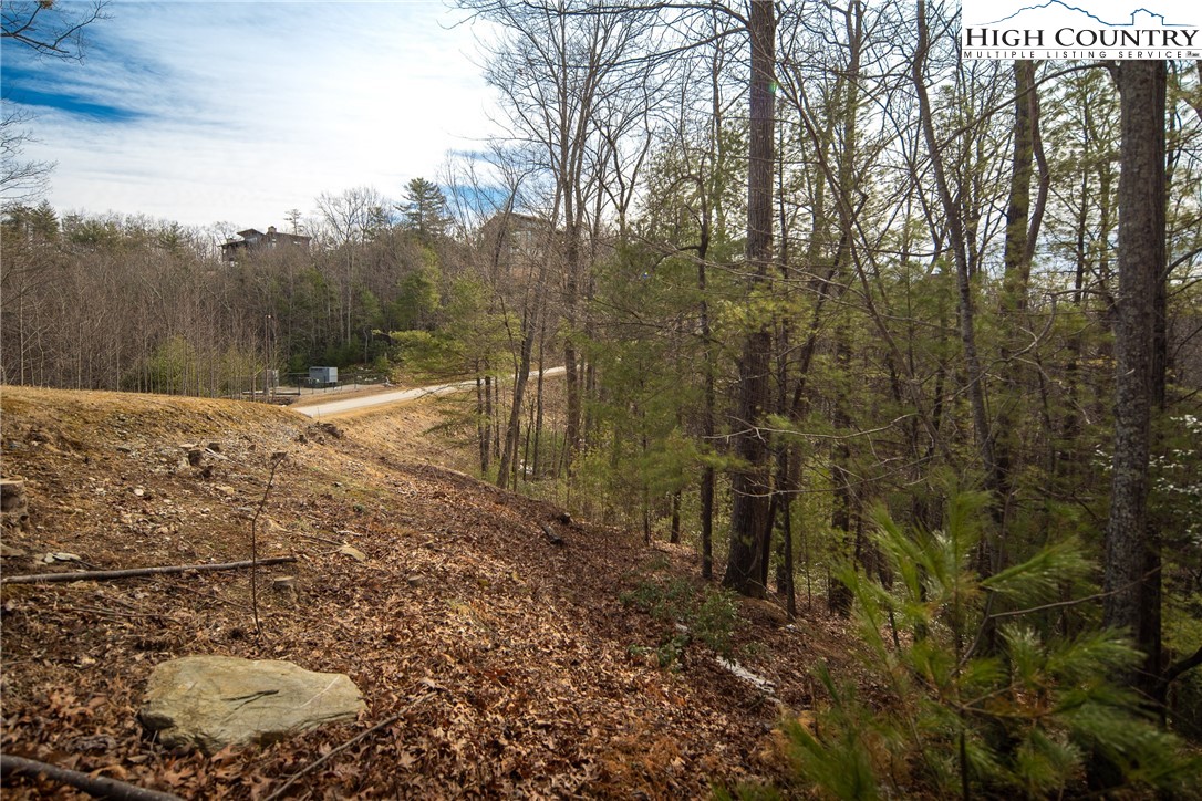 1255 Reynolds Parkway Boone, NC 28607 - Photo 7 of 48 a view of a backyard of the house