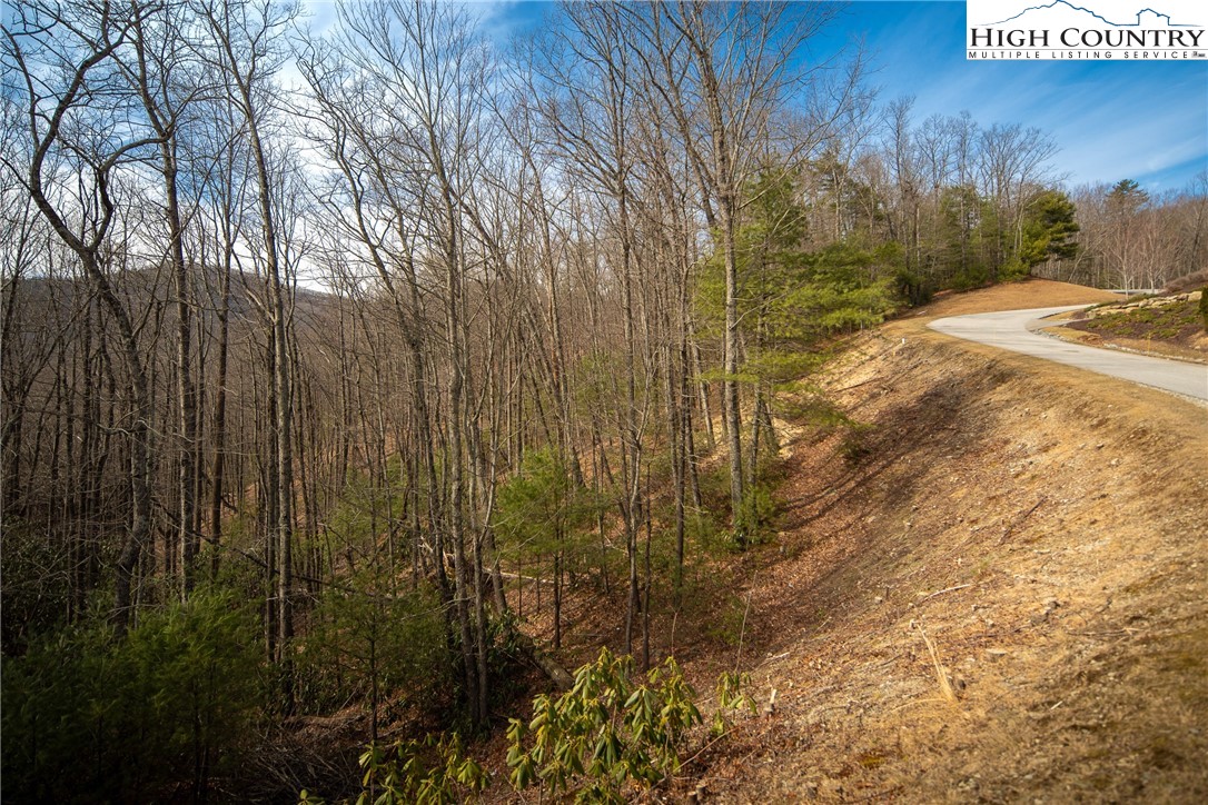 1255 Reynolds Parkway Boone, NC 28607 - Photo 8 of 48 a view of a backyard of the house