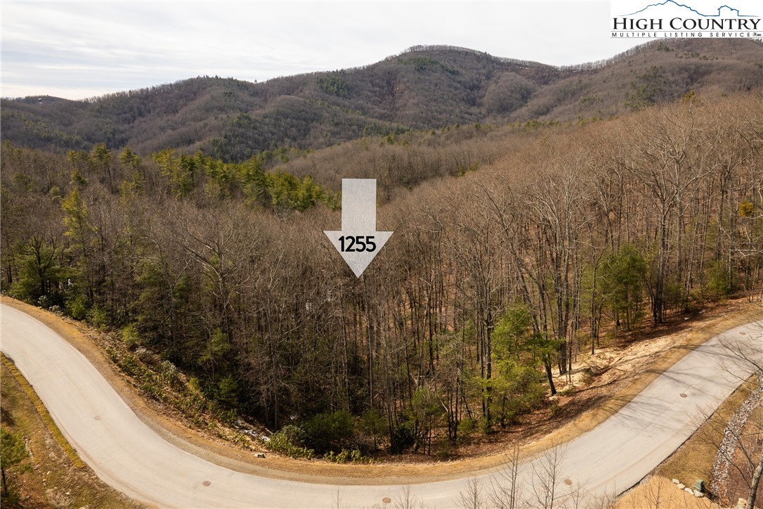 1255 Reynolds Parkway Boone, NC 28607 - Photo 10 of 48 a view of a dry yard with mountains