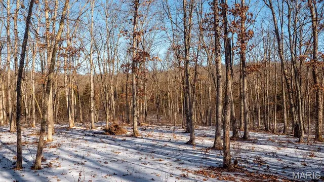 $710,000 | 2103 Vly Crk Drive, Owensville, MO 65066