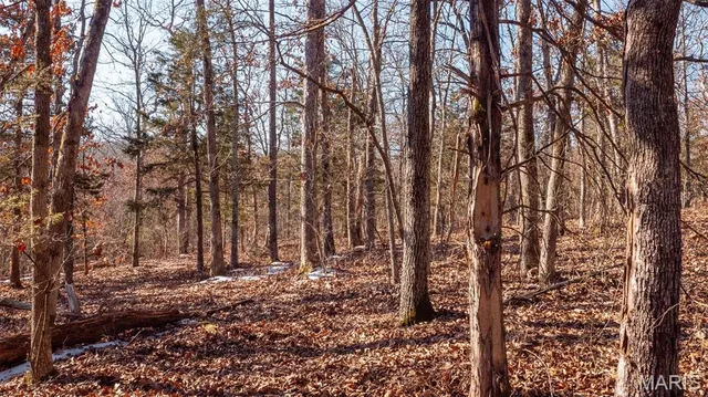 $345,000 | 2103 Vly Crk Drive, Owensville, MO 65066