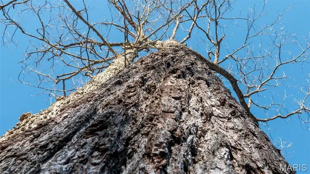 $345,000 | 2103 Vly Crk Drive, Owensville, MO 65066