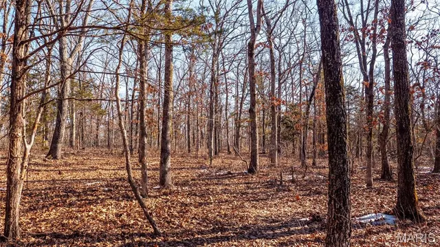 $345,000 | 2103 Vly Crk Drive, Owensville, MO 65066